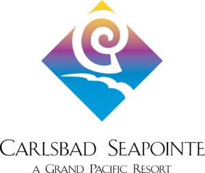 CSR colorful logo